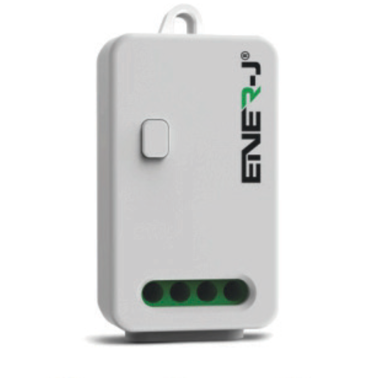 ENER-J 2 ways Wireless Receiver ECO SERIES KINETIC SWITCHES