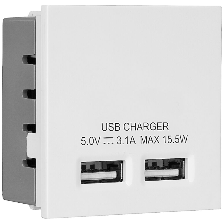 Euro Module 2 Port USB 3.1A White